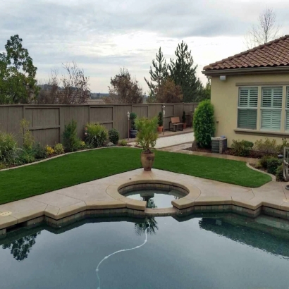 Grass Turf Tolleson, Arizona Garden Ideas, Swimming Pool Designs