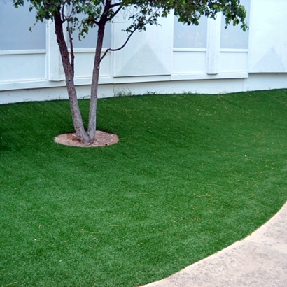 Grass Turf Valencia West, Arizona Garden Ideas, Commercial Landscape