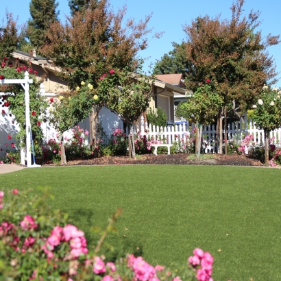 Grass Turf Willow Canyon, Arizona Landscape Design, Front Yard