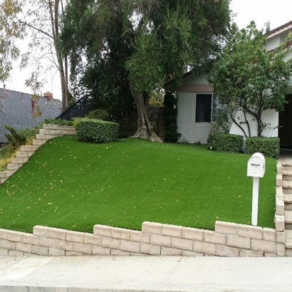 Green Lawn Coolidge, Arizona Roof Top, Front Yard Landscape Ideas