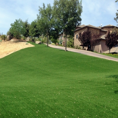 Green Lawn South Tucson, Arizona Design Ideas, Front Yard Landscaping