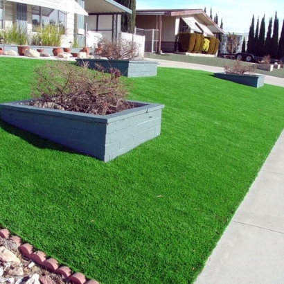 Green Lawn Surprise, Arizona Landscape Ideas, Front Yard Landscaping Ideas