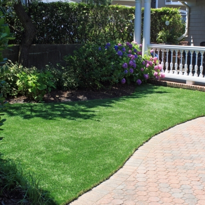 Installing Artificial Grass Gila Bend, Arizona Landscape Photos, Front Yard