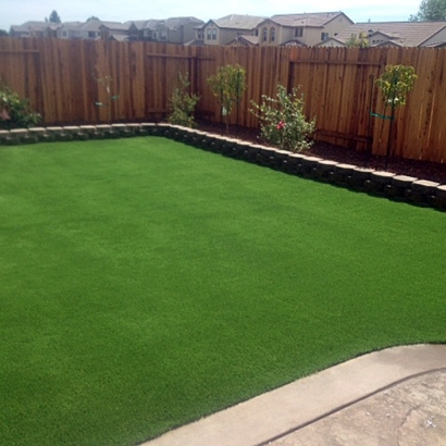 Lawn Services Sahuarita, Arizona Rooftop, Backyard Landscaping Ideas