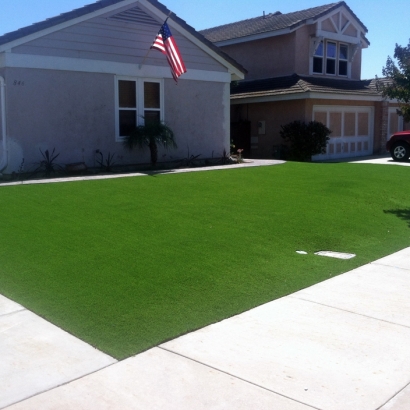 Outdoor Carpet Bouse, Arizona City Landscape, Front Yard Ideas