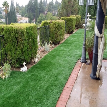 Outdoor Carpet Queen Valley, Arizona Landscape Design, Backyard Design