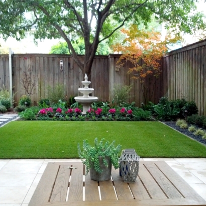 Outdoor Carpet Tonopah, Arizona Landscape Ideas, Backyard Design