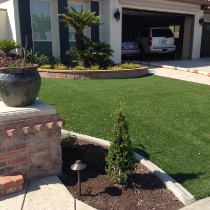 Outdoor Carpet Young, Arizona Lawns, Front Yard Ideas