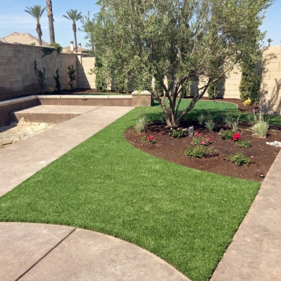 Synthetic Grass Charco, Arizona Lawn And Garden, Front Yard