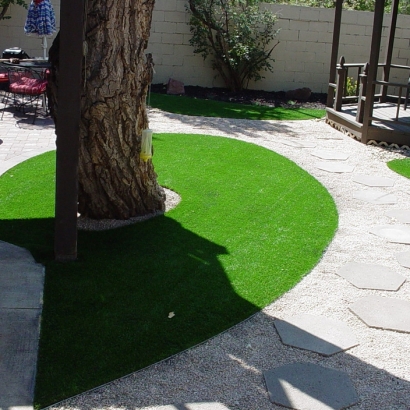 Synthetic Grass Cost Bluewater, Arizona Lawns, Backyard Landscaping