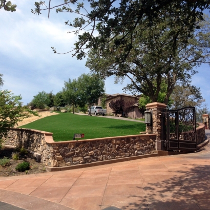 Synthetic Grass Cost Dudleyville, Arizona Paver Patio, Front Yard Design