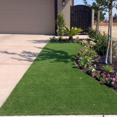 Synthetic Grass Cost Nutrioso, Arizona Lawns, Front Yard Landscaping