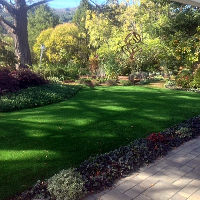 Synthetic Grass Cost Wikieup, Arizona Landscaping, Backyard Landscaping