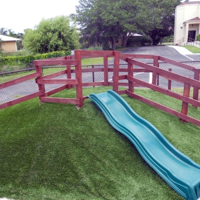 Synthetic Grass Peach Springs, Arizona Home And Garden, Commercial Landscape