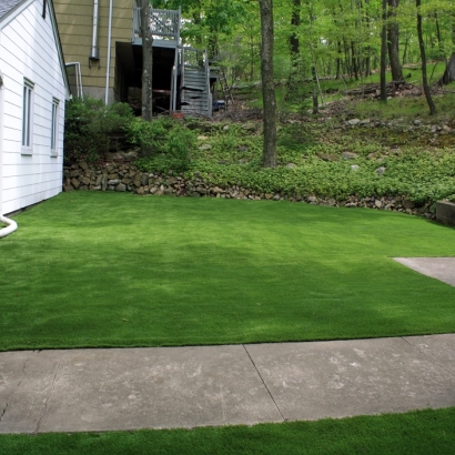 Synthetic Grass Vernon, Arizona Design Ideas, Small Front Yard Landscaping