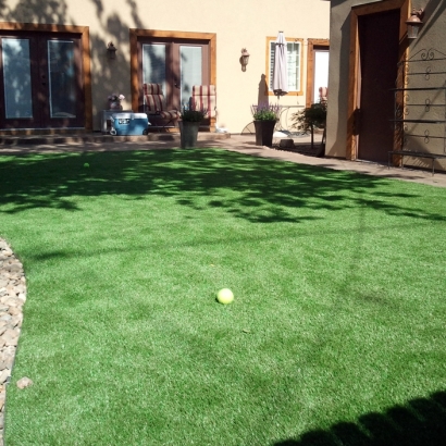 Synthetic Grass Willcox, Arizona Home And Garden, Backyard Landscape Ideas