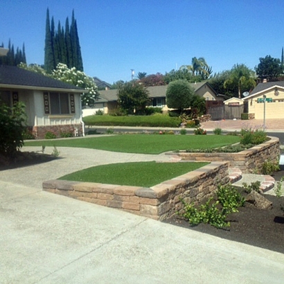 Synthetic Lawn Brenda, Arizona Design Ideas, Front Yard