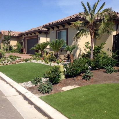 Synthetic Lawn Pinal, Arizona Garden Ideas, Front Yard Landscaping Ideas