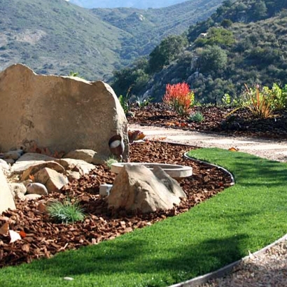 Synthetic Lawn Santa Cruz, Arizona Home And Garden, Front Yard Design