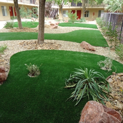 Synthetic Lawn Somerton, Arizona Landscaping, Commercial Landscape