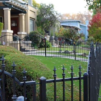 Synthetic Lawn Valentine, Arizona Roof Top, Front Yard Landscape Ideas