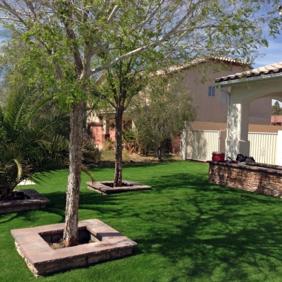 Synthetic Lawn Woodruff, Arizona City Landscape, Front Yard Ideas