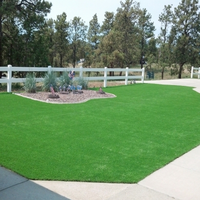 Synthetic Turf Jakes Corner, Arizona Gardeners, Front Yard Landscaping Ideas