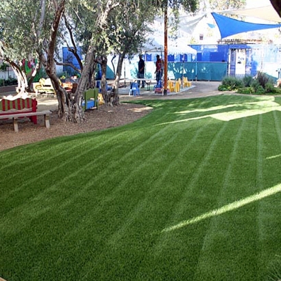 Synthetic Turf Queen Creek, Arizona Landscape Photos, Commercial Landscape