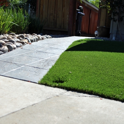 Synthetic Turf Santa Rosa, Arizona Rooftop, Front Yard