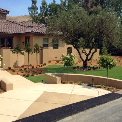 Synthetic Turf Seba Dalkai, Arizona Lawn And Garden, Front Yard Landscape Ideas