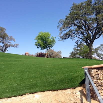 Synthetic Turf Supplier Ali Chukson, Arizona Landscape Design, Front Yard Design