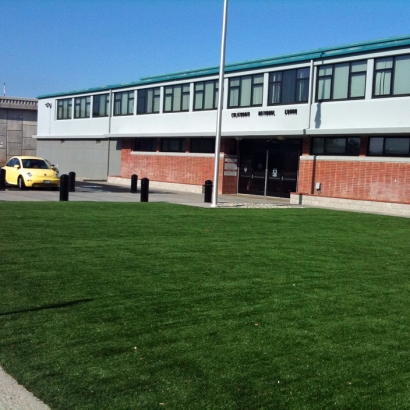 Synthetic Turf Supplier Eloy, Arizona Rooftop, Commercial Landscape