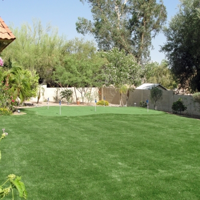 Synthetic Turf Supplier Green Valley, Arizona Roof Top, Backyard