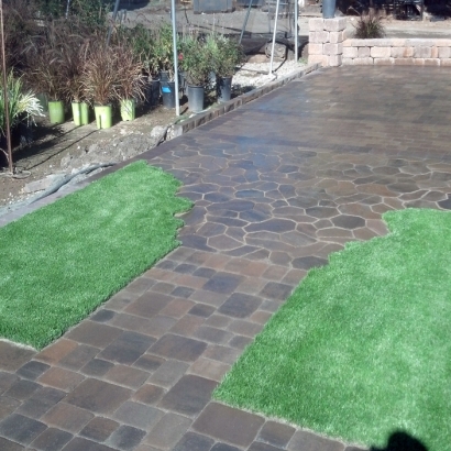 Synthetic Turf Supplier Supai, Arizona Home And Garden, Backyard Design