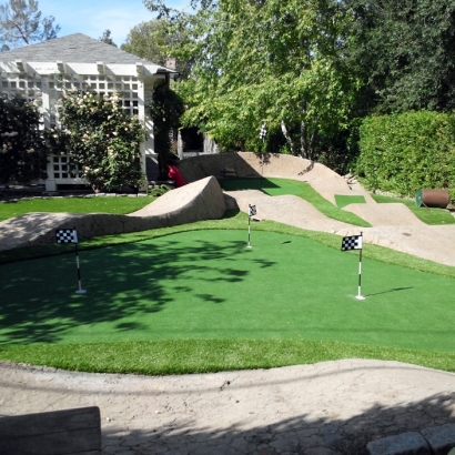 Synthetic Turf Supplier Superior, Arizona Backyard Putting Green, Backyard Ideas