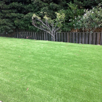 Synthetic Turf Verde Village, Arizona Landscaping Business, Backyard Ideas