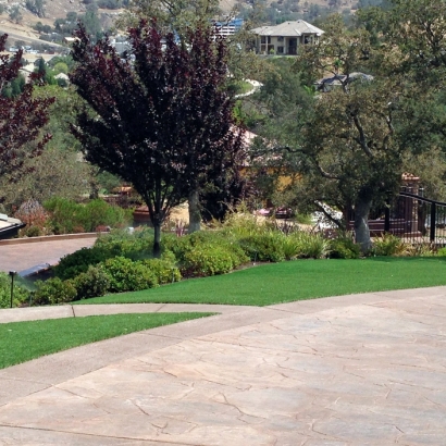 Turf Grass Washington Park, Arizona Backyard Playground, Front Yard Design