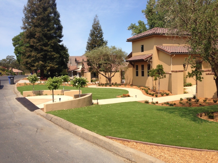 Artificial Grass Carpet Ali Molina, Arizona Landscape Ideas, Small Front Yard Landscaping