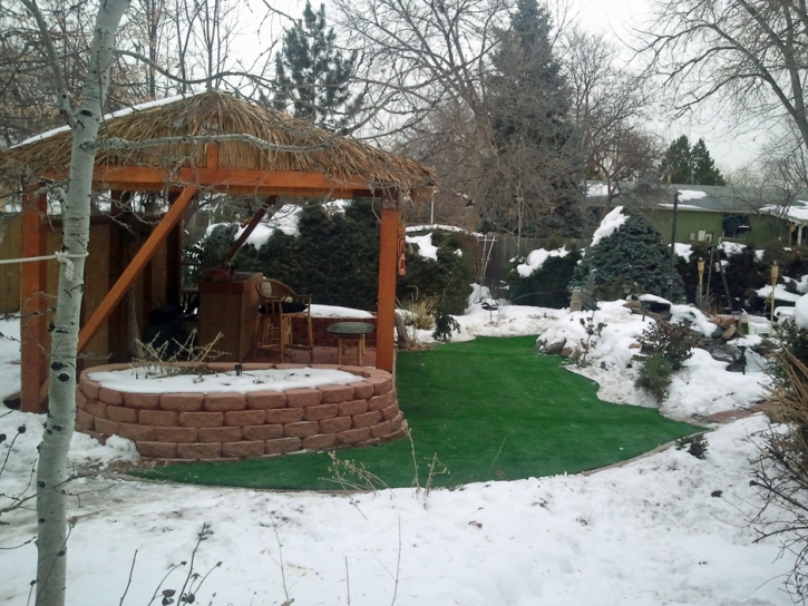 Artificial Grass Carpet Beyerville, Arizona Lawns, Backyards