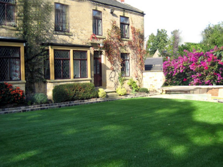 Artificial Grass Carpet Fortuna Foothills, Arizona Roof Top, Front Yard Design