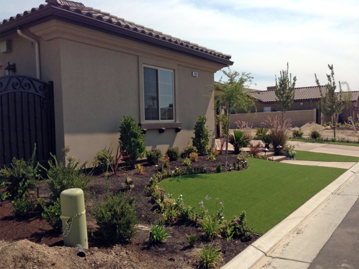 Artificial Grass Carpet Gadsden, Arizona Landscaping Business, Front Yard Ideas