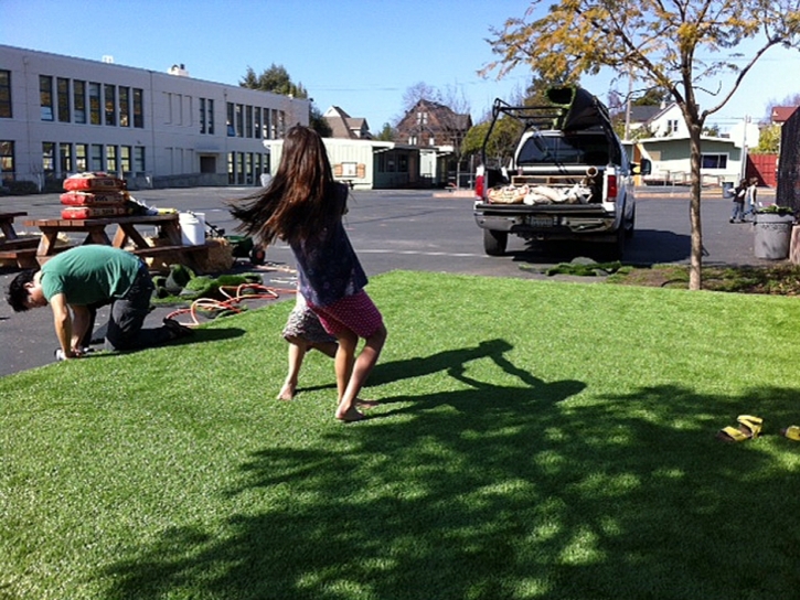 Artificial Grass Carpet Pimaco Two, Arizona Backyard Playground, Commercial Landscape