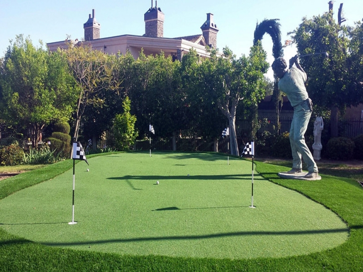 Artificial Grass Carpet Rio Verde, Arizona Indoor Putting Green, Backyards