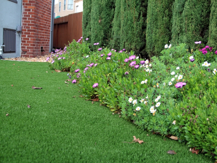 Artificial Grass Carpet Sanders, Arizona Gardeners, Front Yard Landscaping Ideas