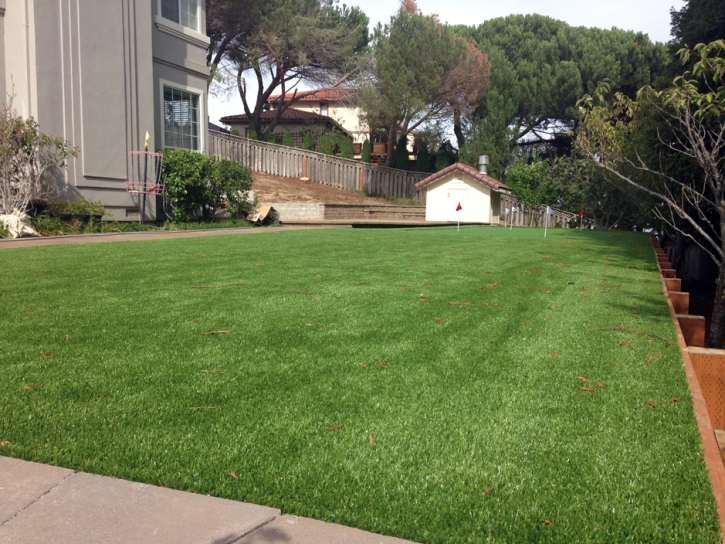 Artificial Grass Carpet Star Valley, Arizona City Landscape, Backyard Design