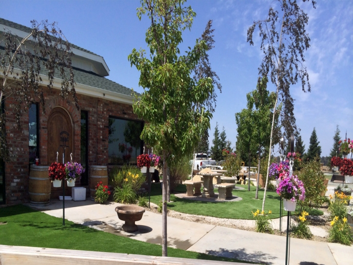 Artificial Grass Central Heights-Midland City, Arizona Design Ideas, Commercial Landscape