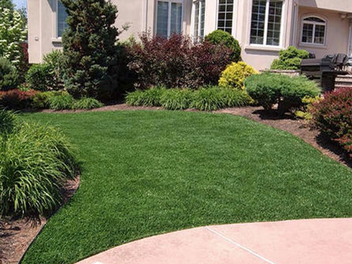 Artificial Grass Christopher Creek, Arizona City Landscape, Front Yard Ideas