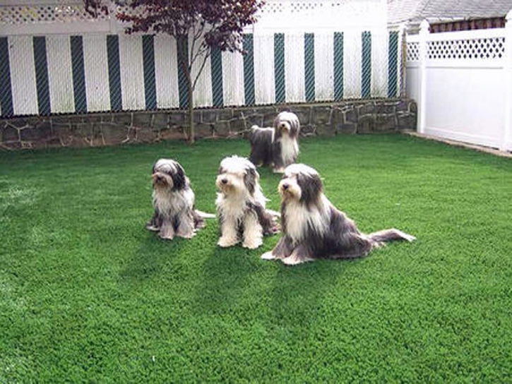 Artificial Grass Christopher Creek, Arizona Home And Garden, Backyard Garden Ideas