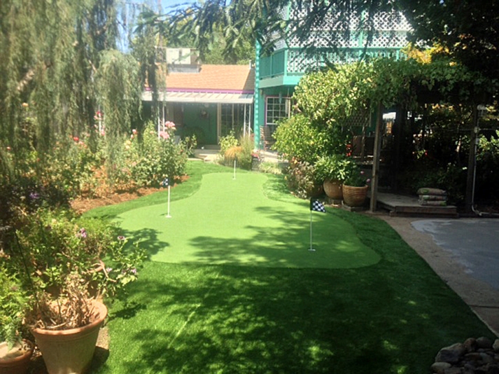 Artificial Grass Fort Apache, Arizona Landscaping Business