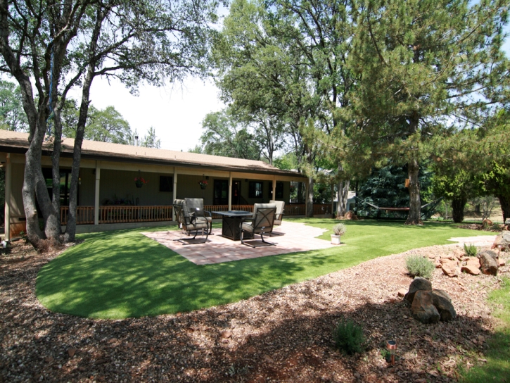 Artificial Grass Installation Picacho, Arizona Home And Garden, Backyard Landscaping